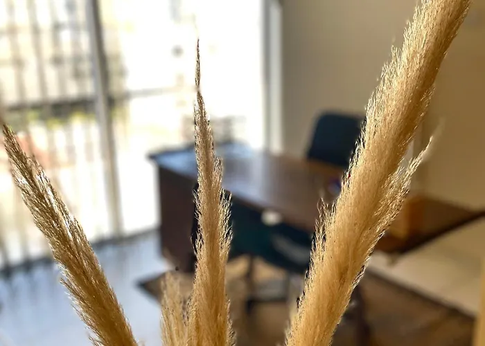 Апартаменты Comfort In - Orfeos By Platform 357